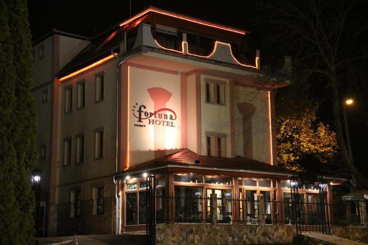 Fortuna Hotel ミシュコルツ エクステリア 写真